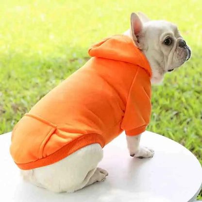 Hooded Winter Sweatshirt for Small Dogs and Cats