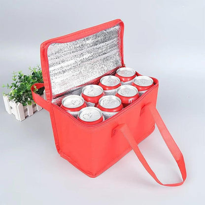 Insulated Picnic Cooler Bag