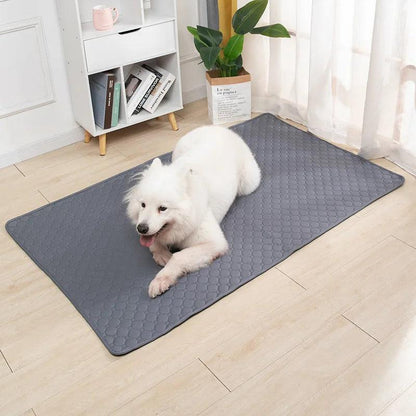 Washable Dog Pee Pad Reusable Training Mat