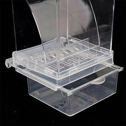 Automatic Acrylic Bird Feeders Small Medium Essential Parrot