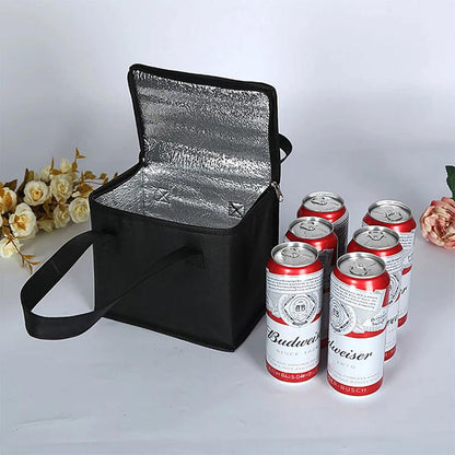 Insulated Picnic Cooler Bag