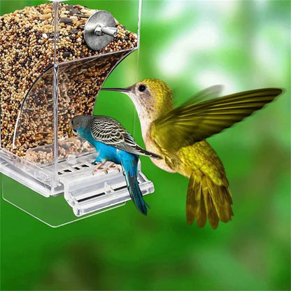 Automatic Acrylic Bird Feeders Small Medium Essential Parrot