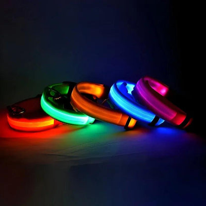 LED Dog Collar with Flashing Glow