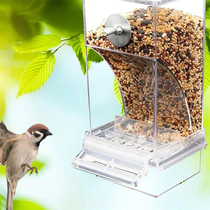 Automatic Acrylic Bird Feeders Small Medium Essential Parrot