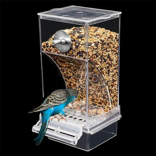 Automatic Acrylic Bird Feeders Small Medium Essential Parrot