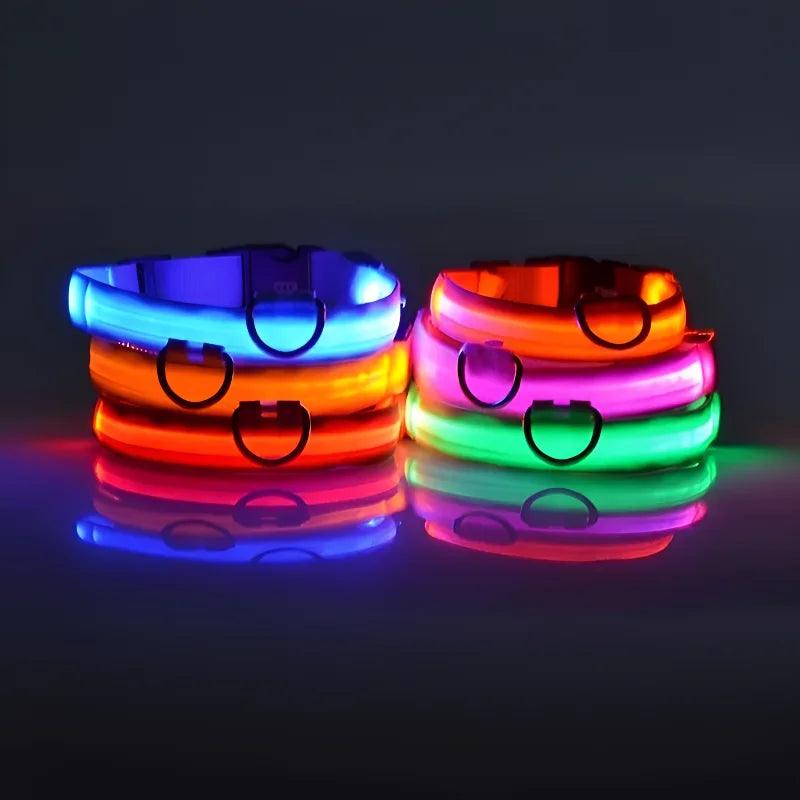 LED Dog Collar with Flashing Glow