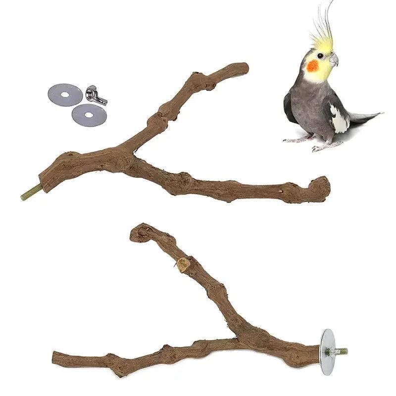 Grape Wood Parrot Standing Stick