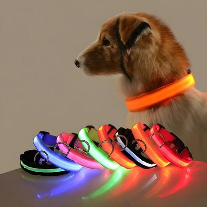 LED Dog Collar with Flashing Glow