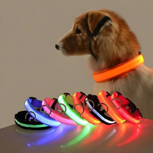 LED Dog Collar with Flashing Glow