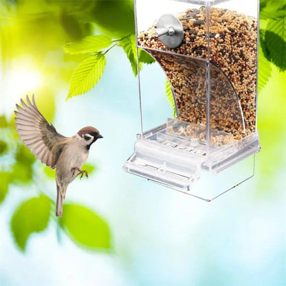 Automatic Acrylic Bird Feeders Small Medium Essential Parrot